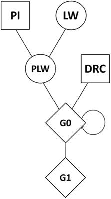 Characterization of Autozygosity in Pigs in Three-Way Crossbreeding